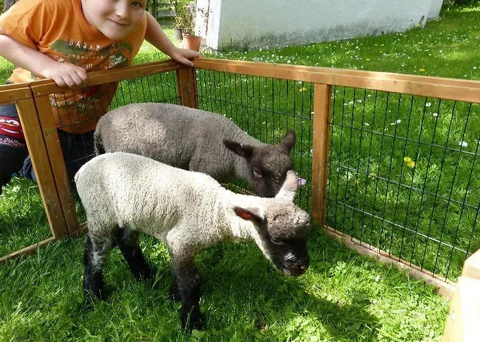 Ferien-am-bauernhof-wohnung-3 Apartament *