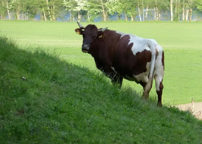 Ferien Am Bauernhof, 3 Rangersdorf